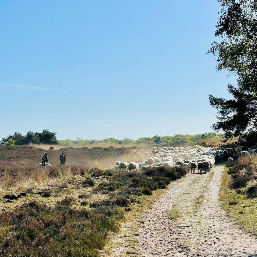 Luxe Vakantiehuis Huismus Veluwe Nunspeet Esterno foto